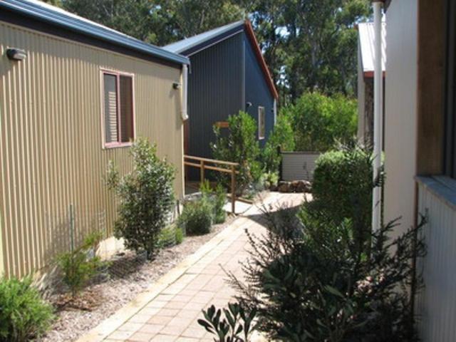 Derwent Bridge Chalets & Studios Oda fotoğraf